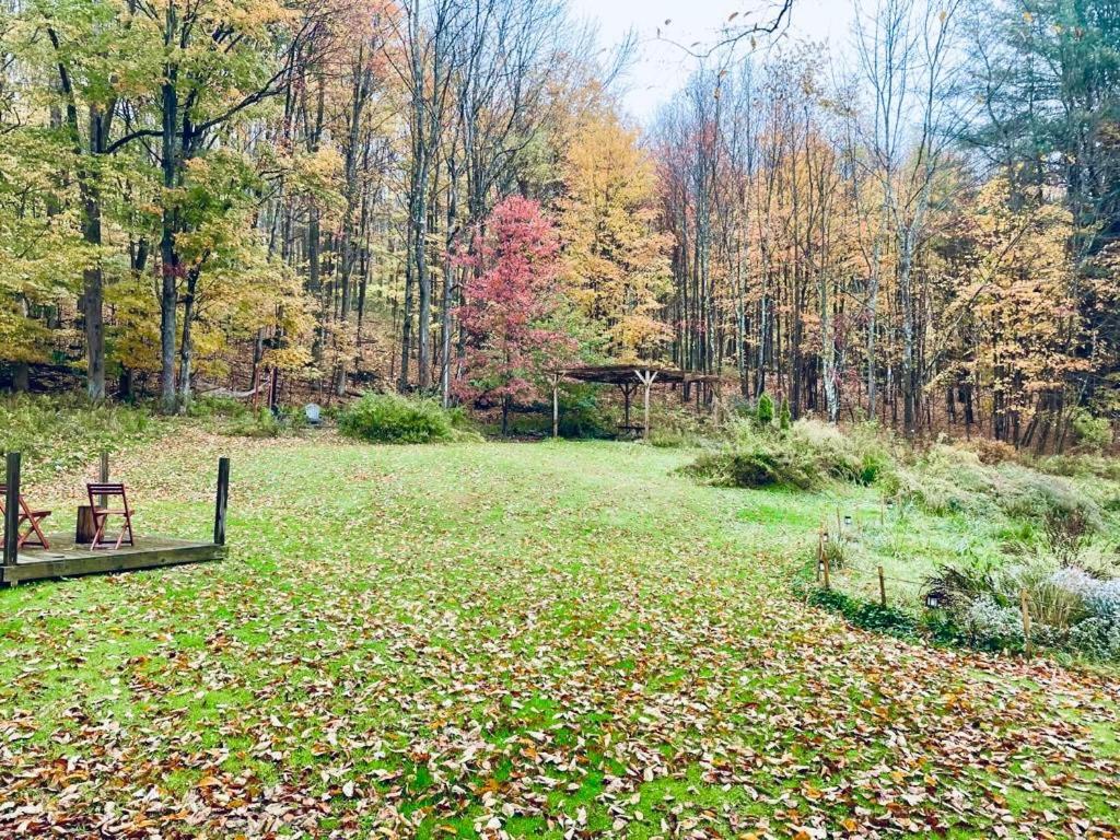 Cozy Cottage With Jacuzzi And Fire Pit And Reading Nook! Livingston Manor 외부 사진