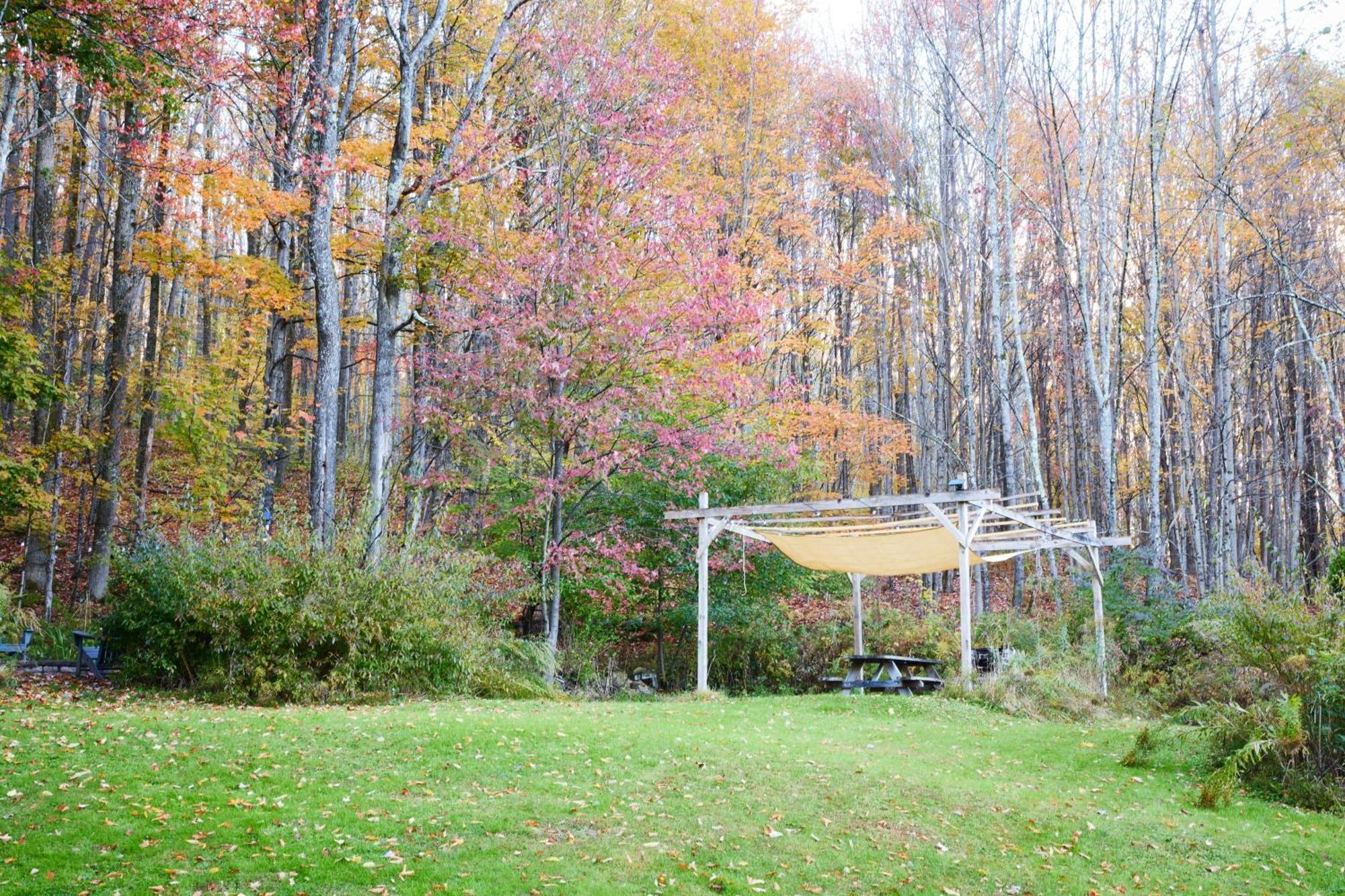 Cozy Cottage With Jacuzzi And Fire Pit And Reading Nook! Livingston Manor 외부 사진